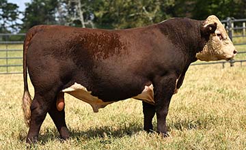 SFCC TRM Houston 3591 ET